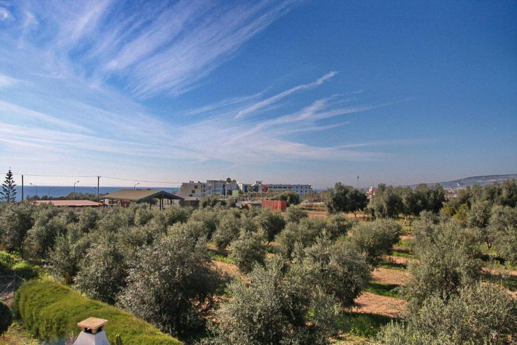 Villa Paradise Pafos Zewnętrze zdjęcie