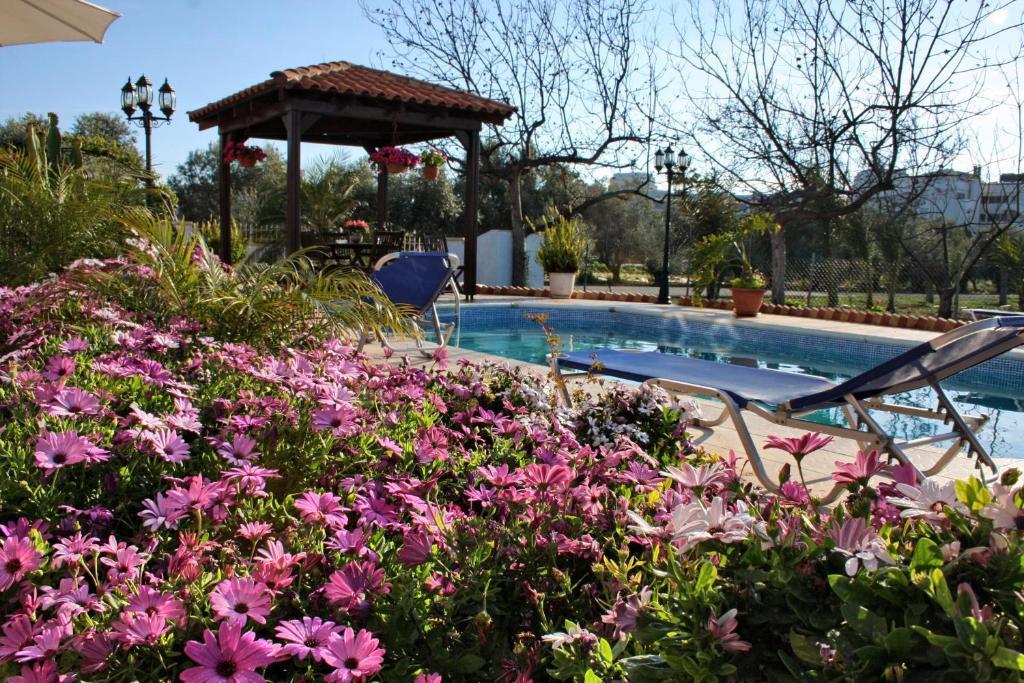 Villa Paradise Pafos Pokój zdjęcie